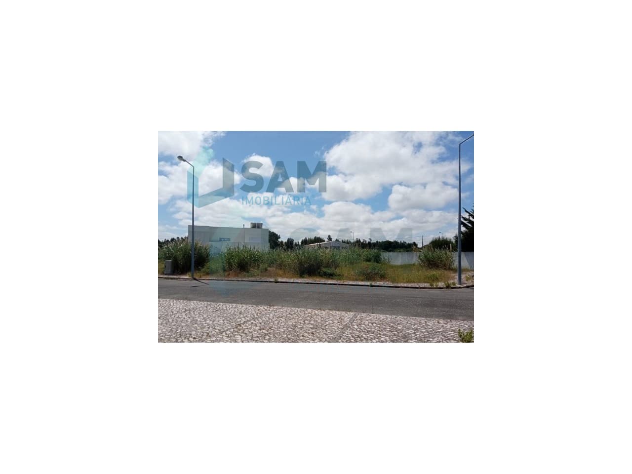 Lote