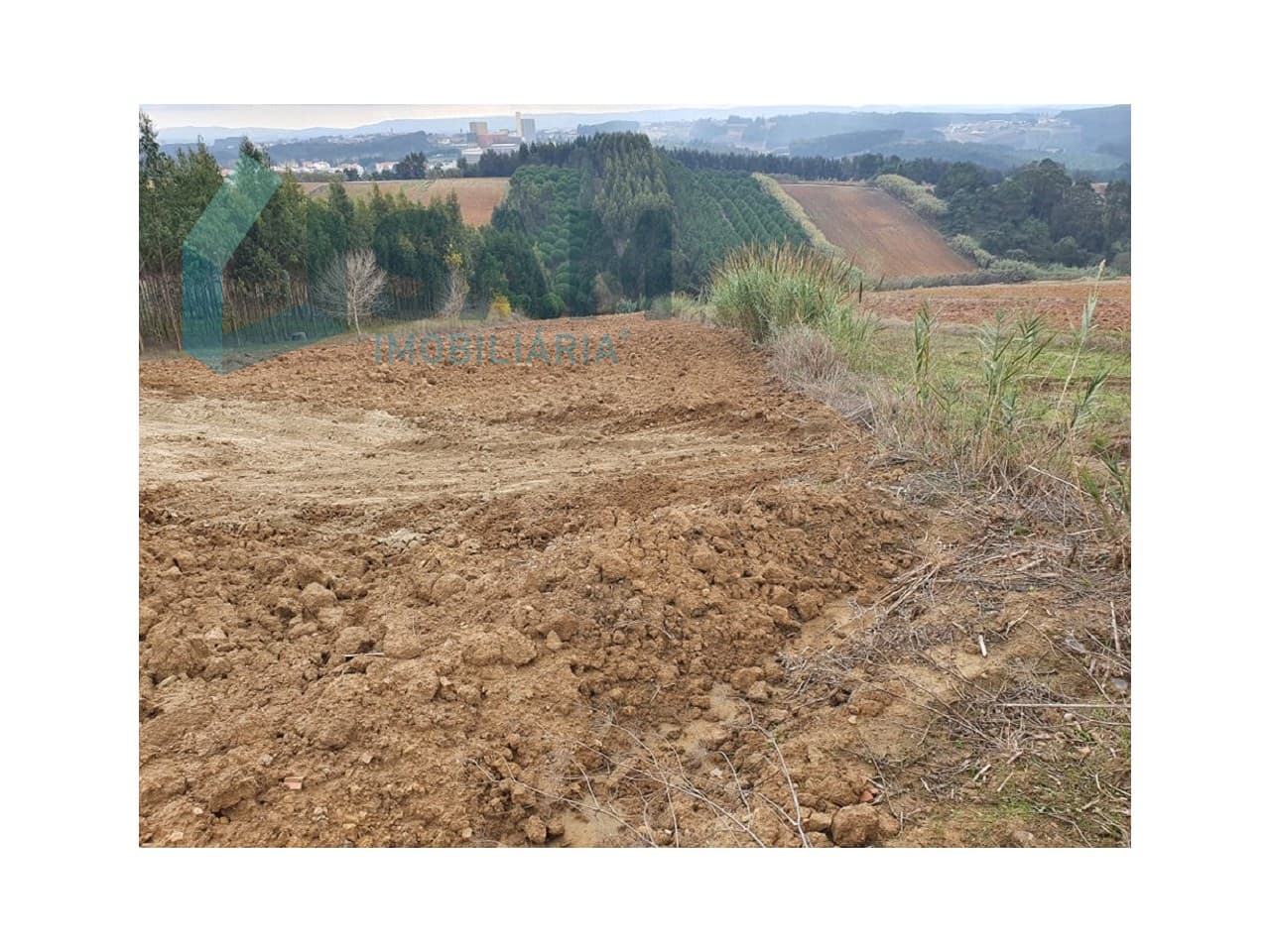 Terreno